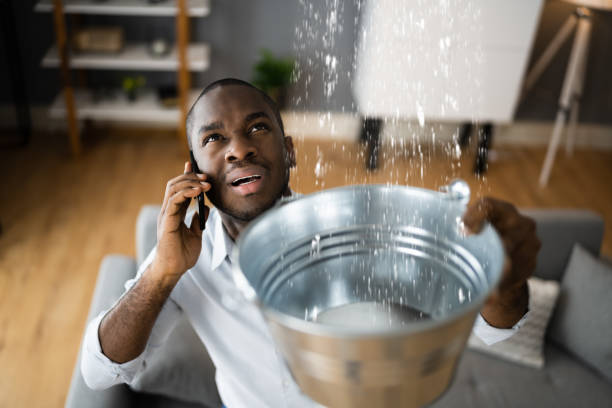 Best Water damage contractors near me  in St Martin, MS