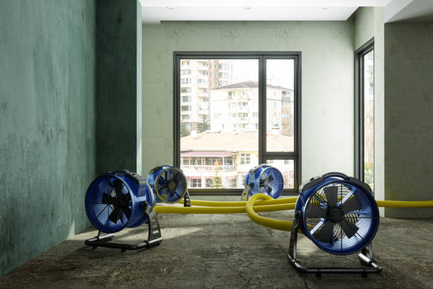 Best Ceiling water damage repair  in St Martin, MS